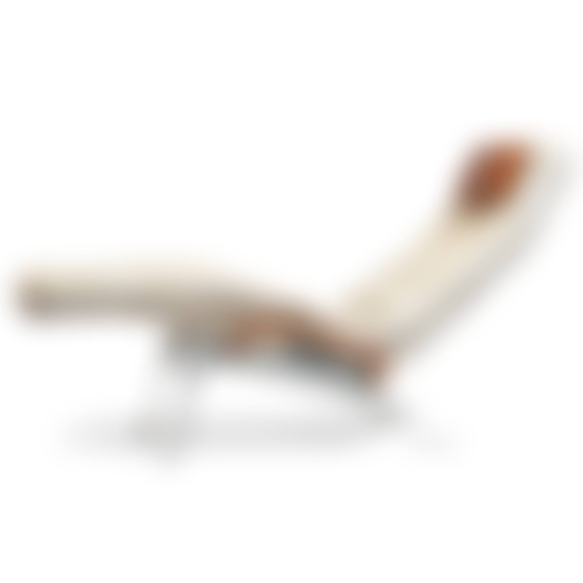 a "Fenix" chaise longue (preview)