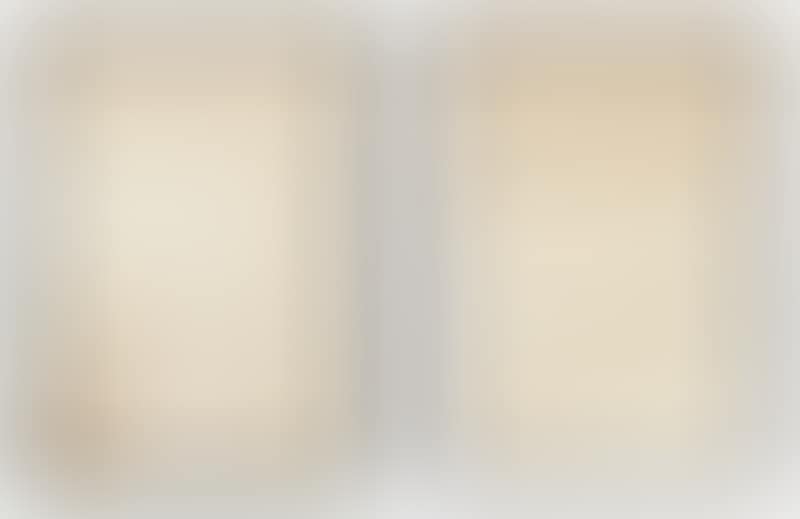 Note About Art no 100 and 243 (preview)