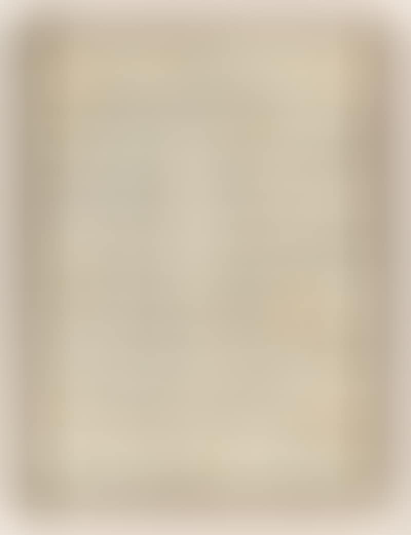 Diary 13 VI (preview)