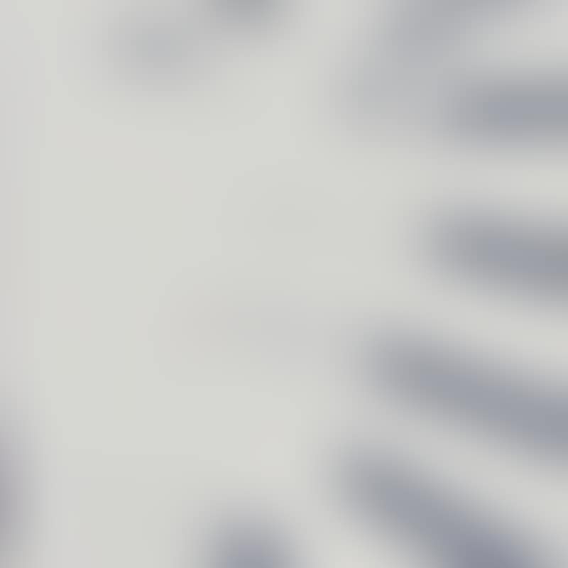 FV_Brioni (preview)