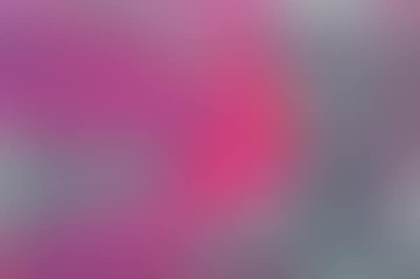 The HoT_XIX (preview)
