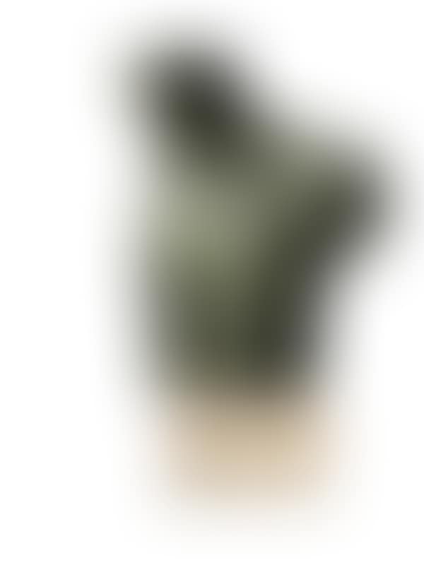 Asclepios (preview)