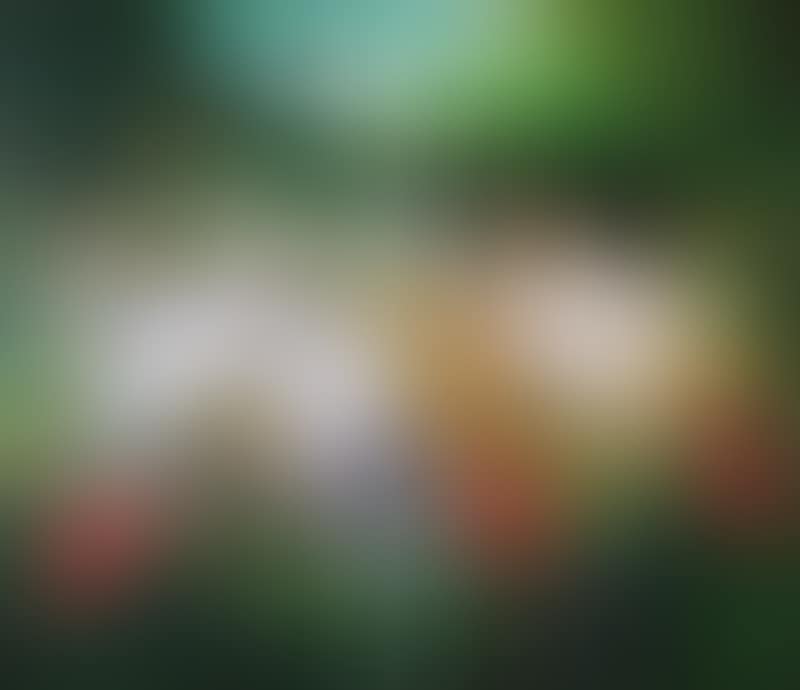 Green paradise XIII (preview)