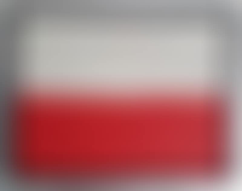 Polish People Forming National Flag (preview)
