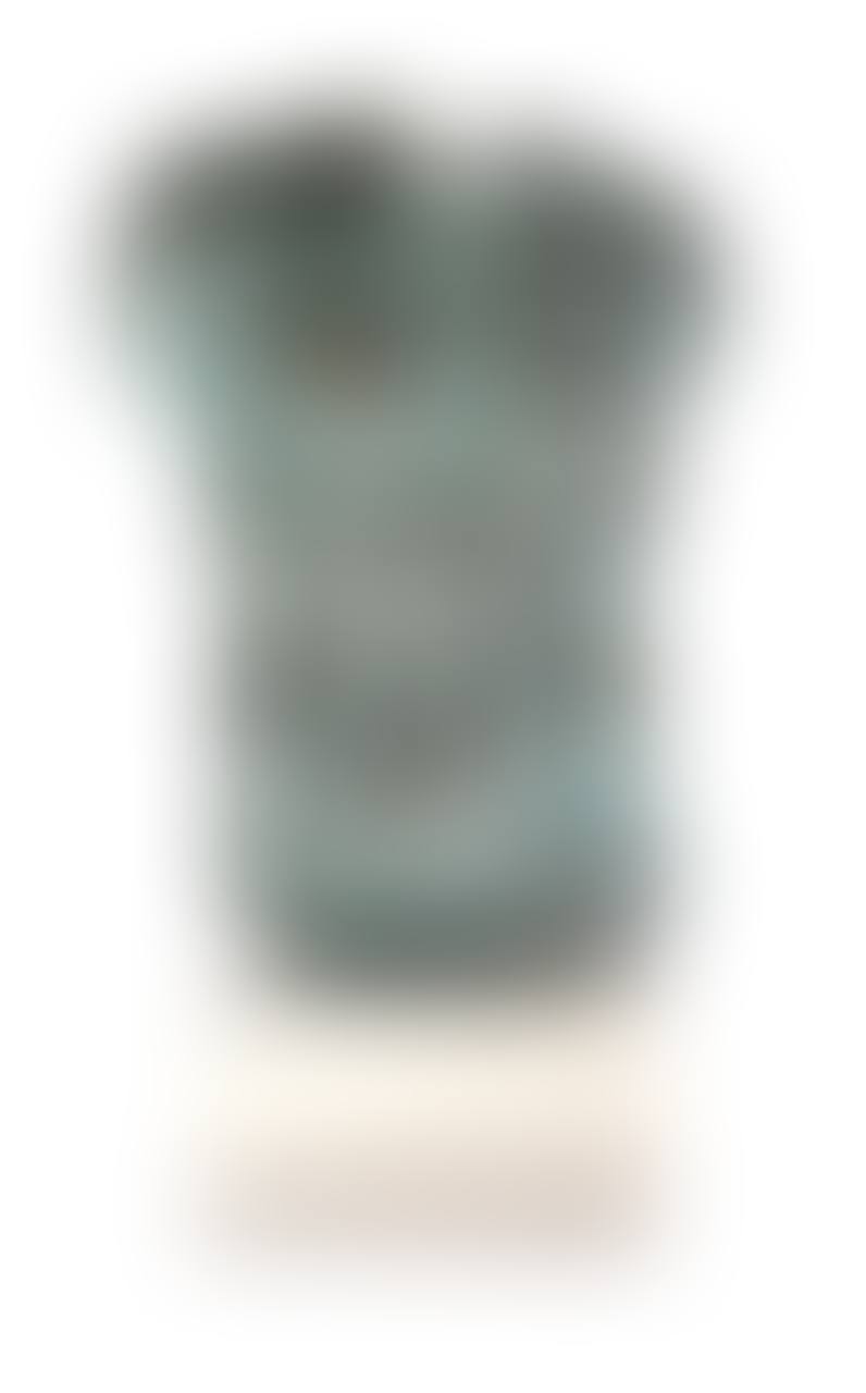 Perseus (preview)