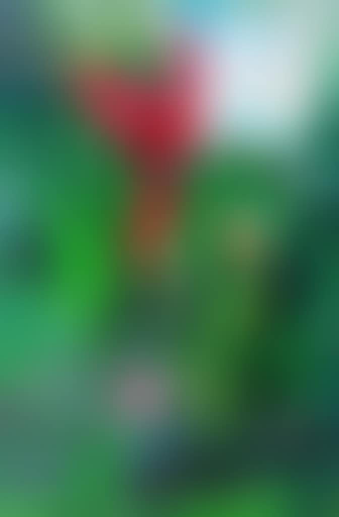 Green Paradise (preview)
