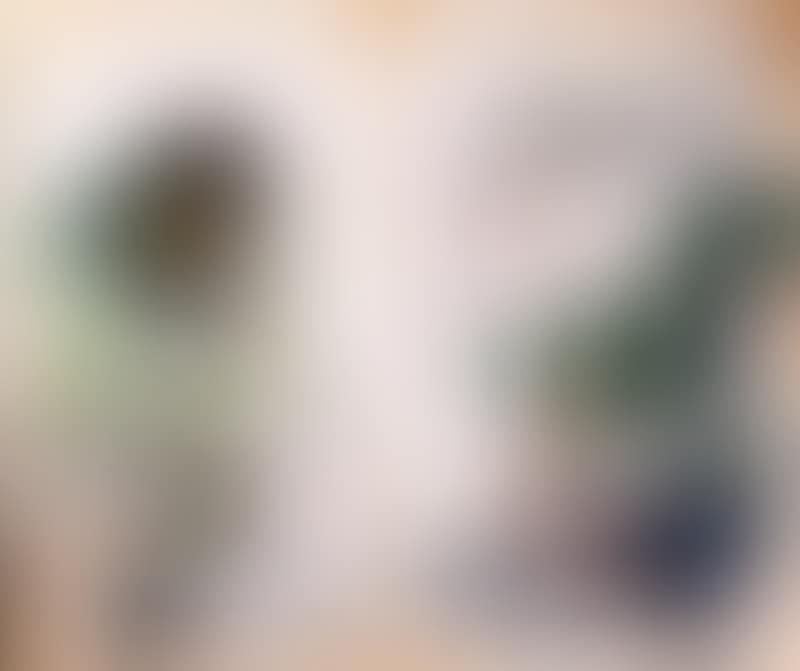 The spirit nature (preview)