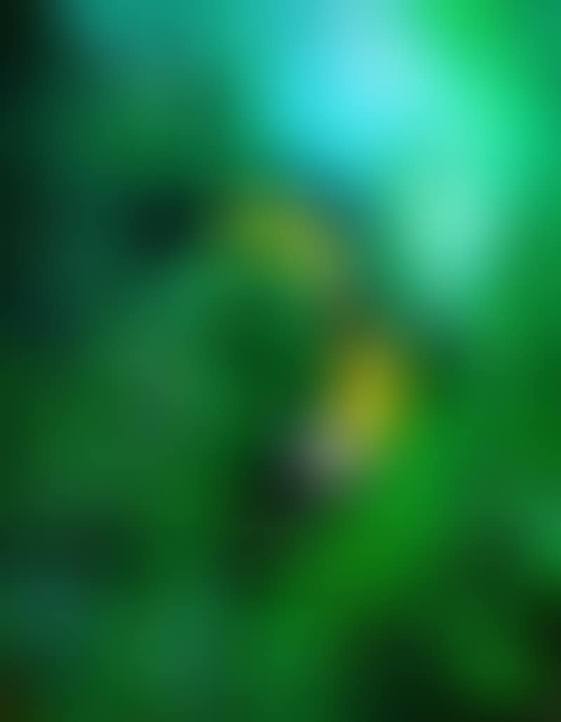 Green Paradise II (preview)