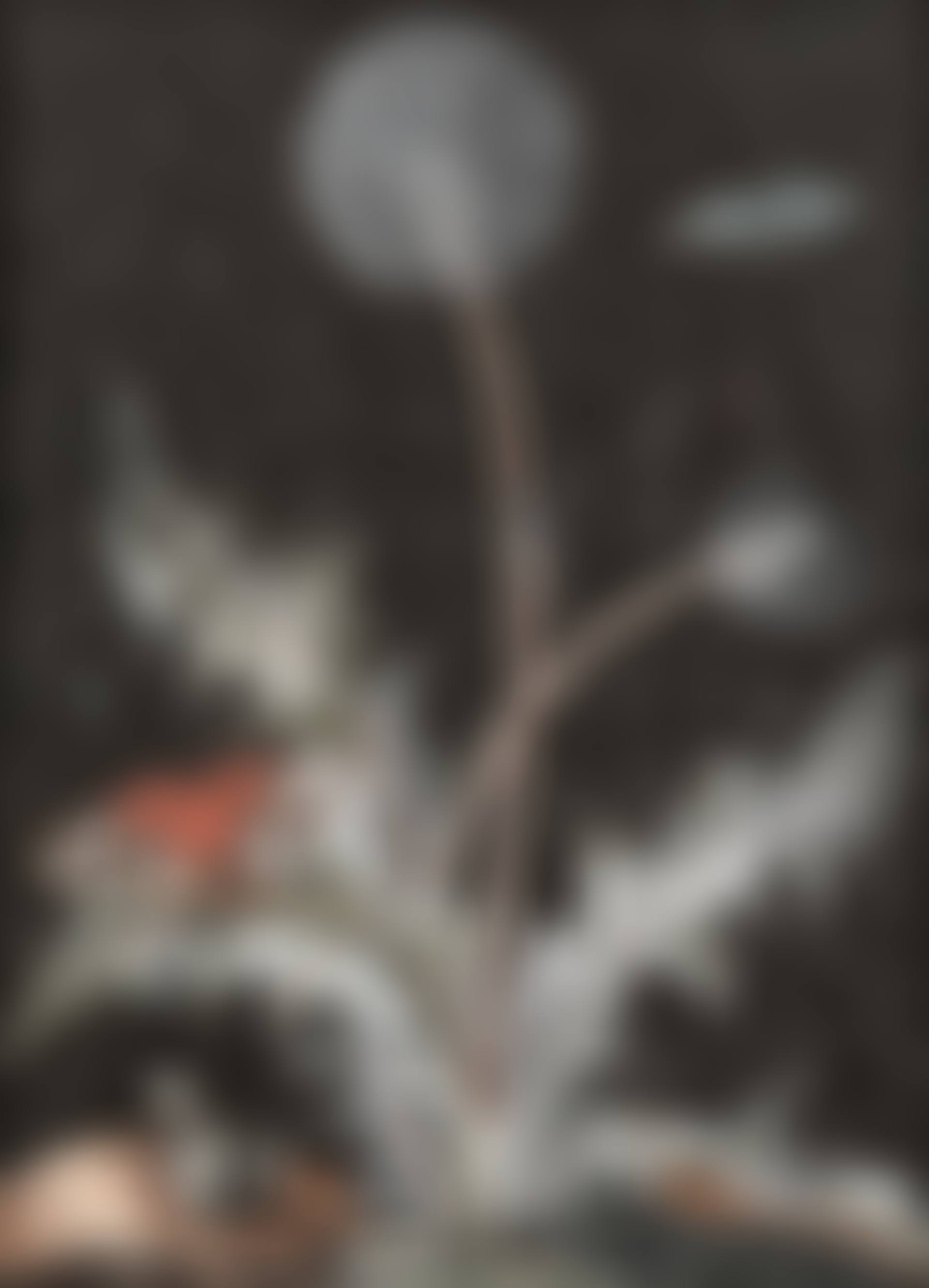 A dandelion clock with moths, a caterpillar and a frog (preview)