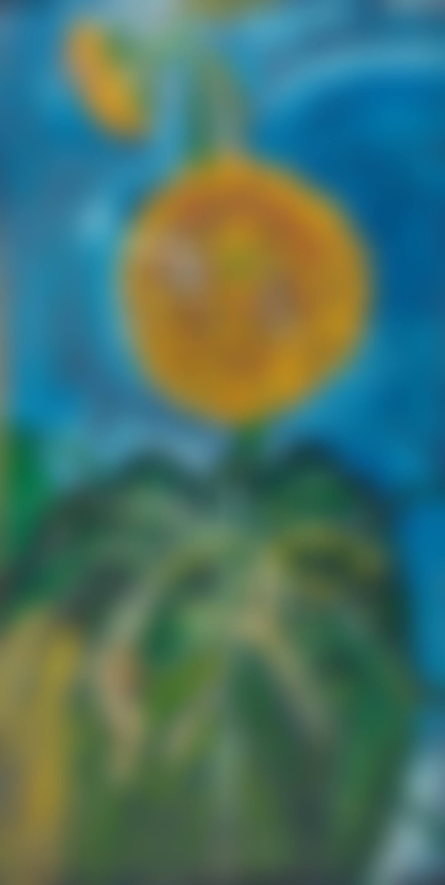 Sunflowers (preview)