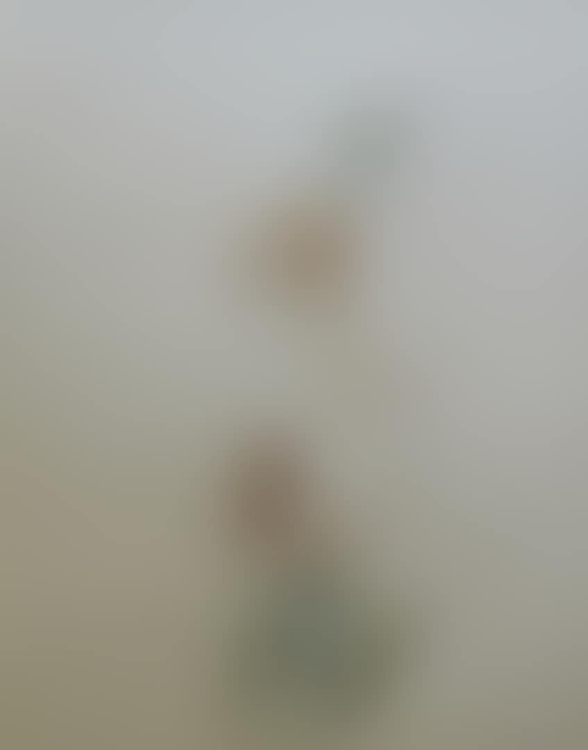 “Chiseled eyes” (preview)