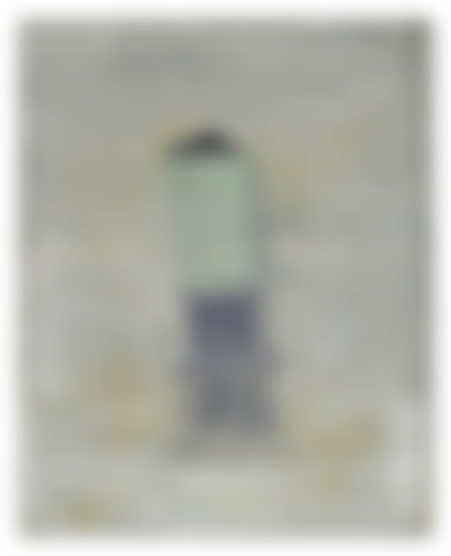 Untitled (cloaked monument) (preview)