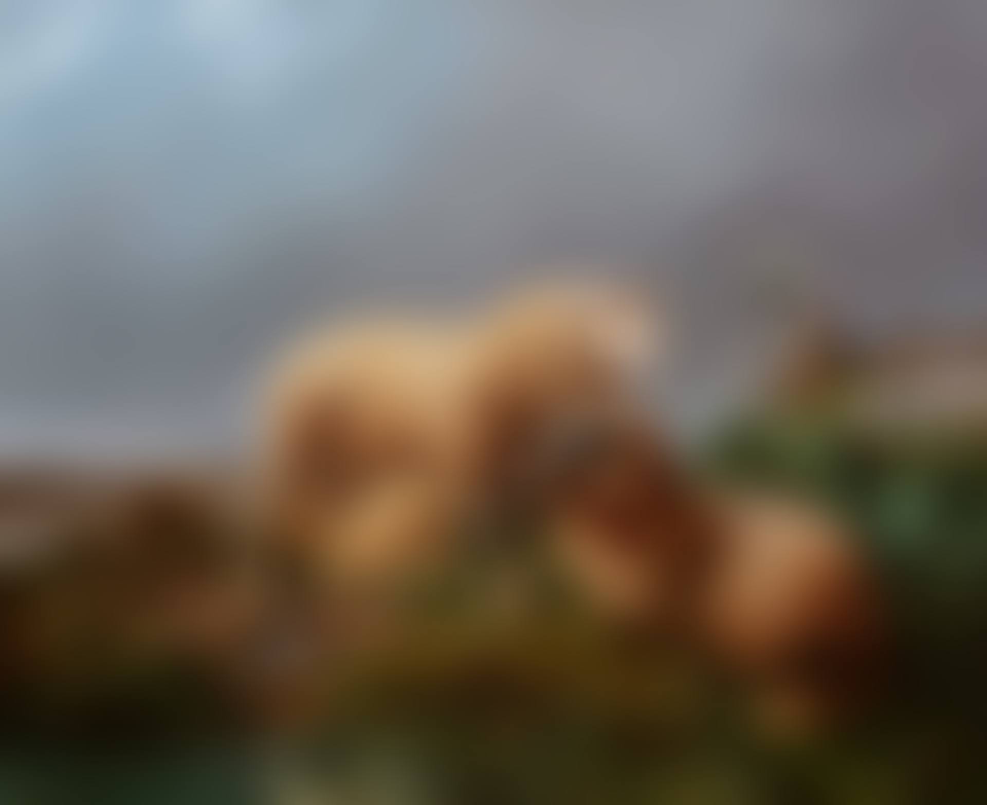 Family of sheep in spring (preview)
