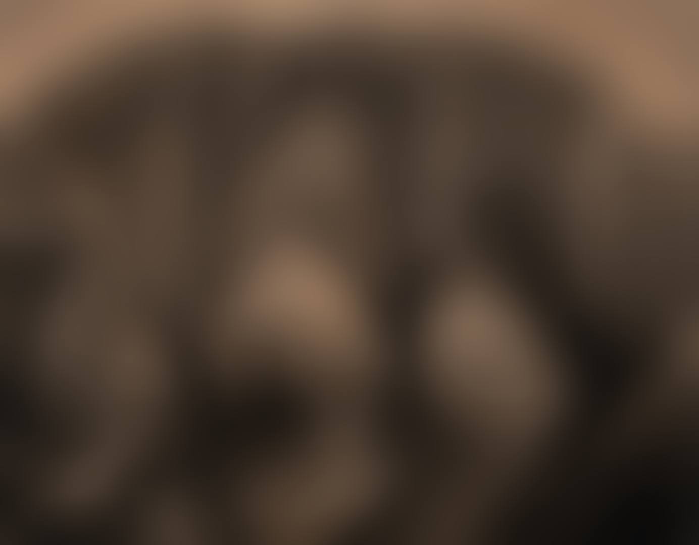 Landscape With Trees (preview)