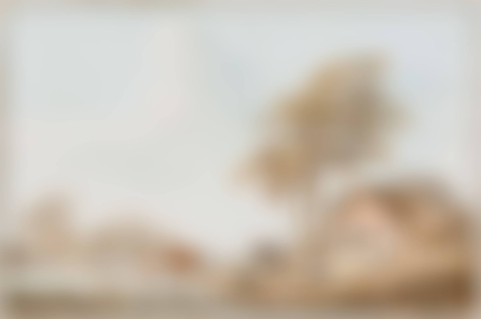 Landscape in Zeeland with farmers and their cows and sheep by a stream (circa 1820-1825) (preview)