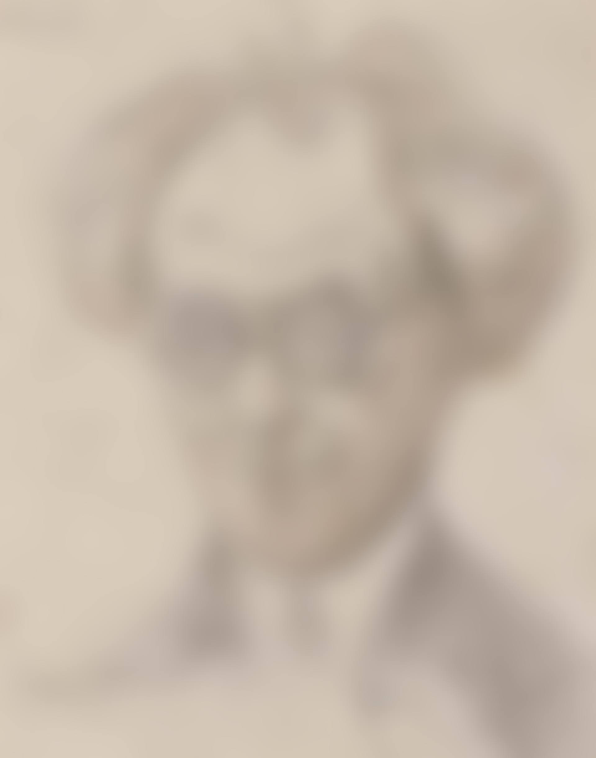 Portrait of H. Brusse (preview)