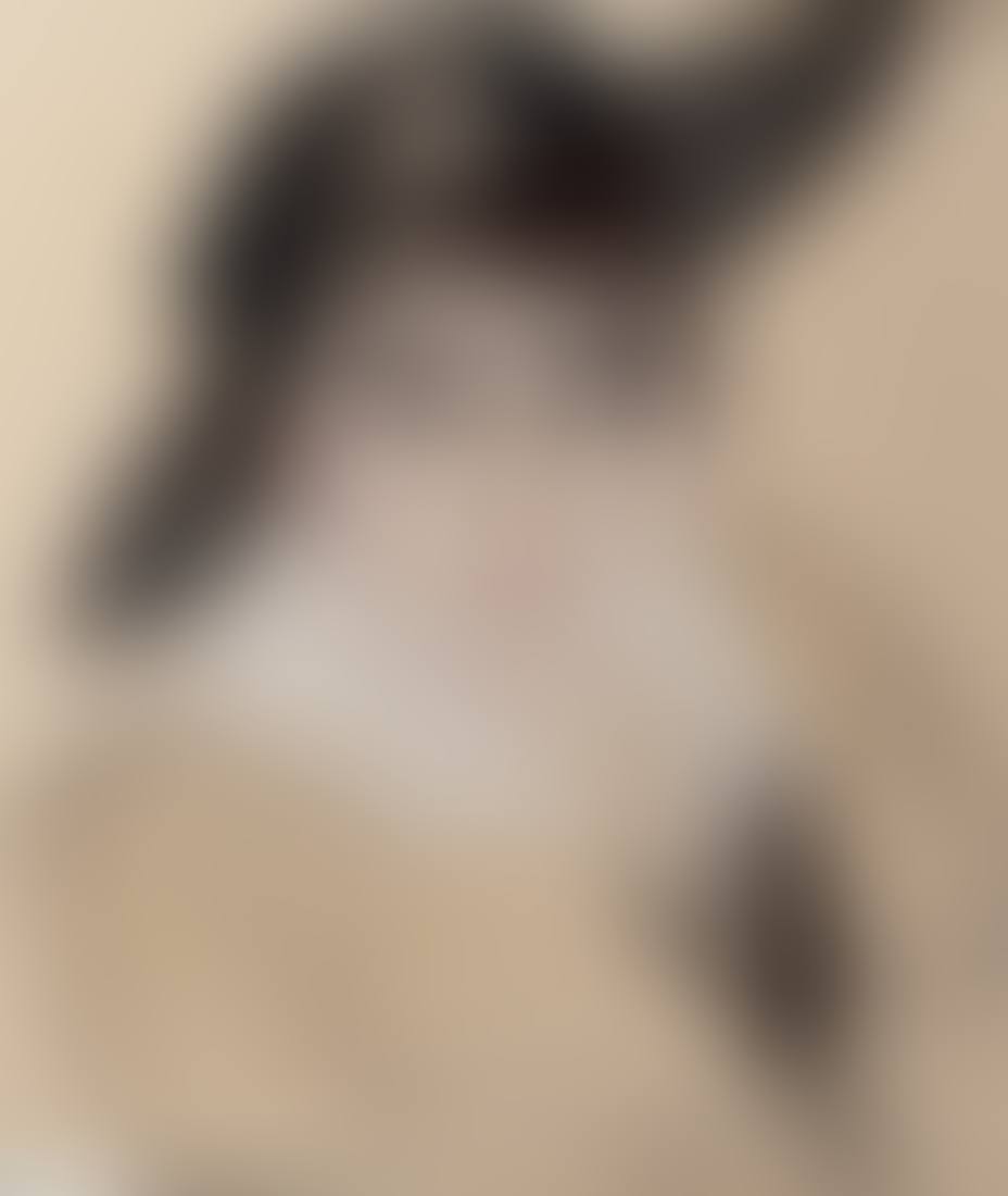 Portrait of an elegant woman (preview)