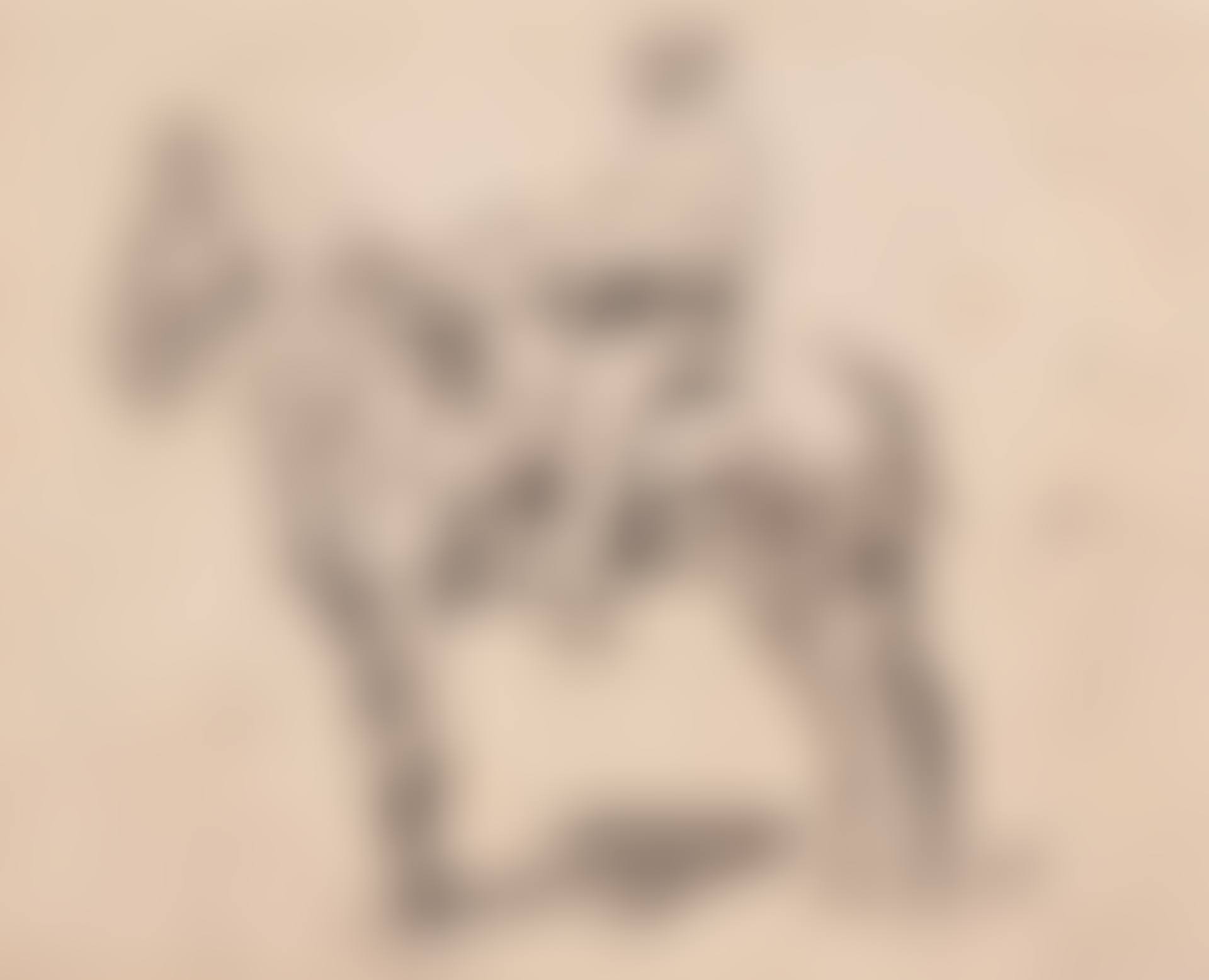 horseman (preview)