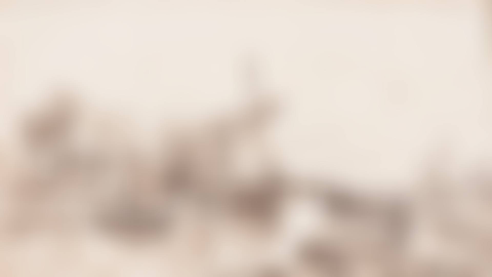 Schidam (preview)