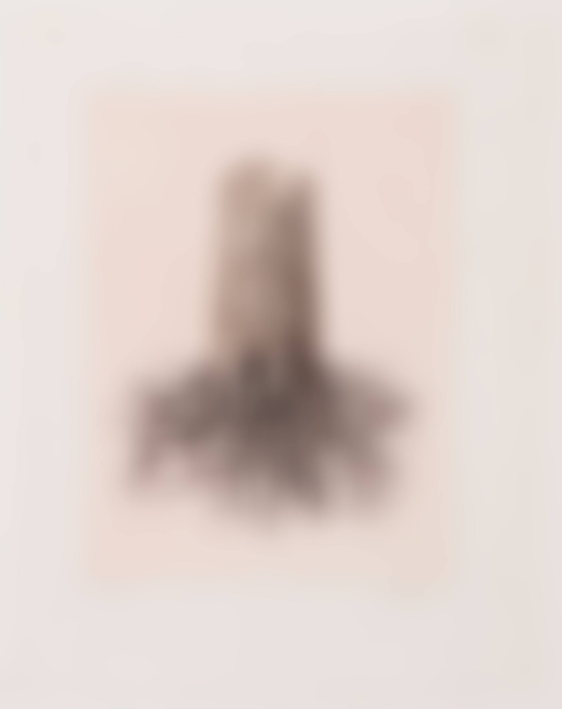 La Folie Almayer (plate III of Le Lien de Paille by Louis Scutenaire) (preview)