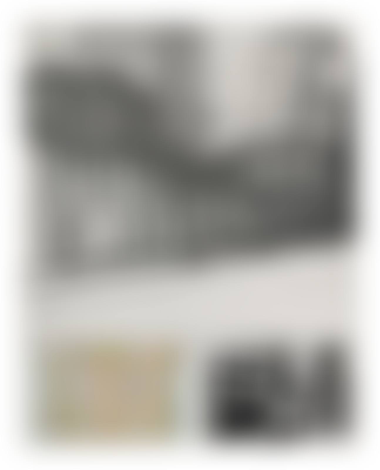 The Museum of Modern Art Wrapped (from (Some) Not Realized Projects) (preview)
