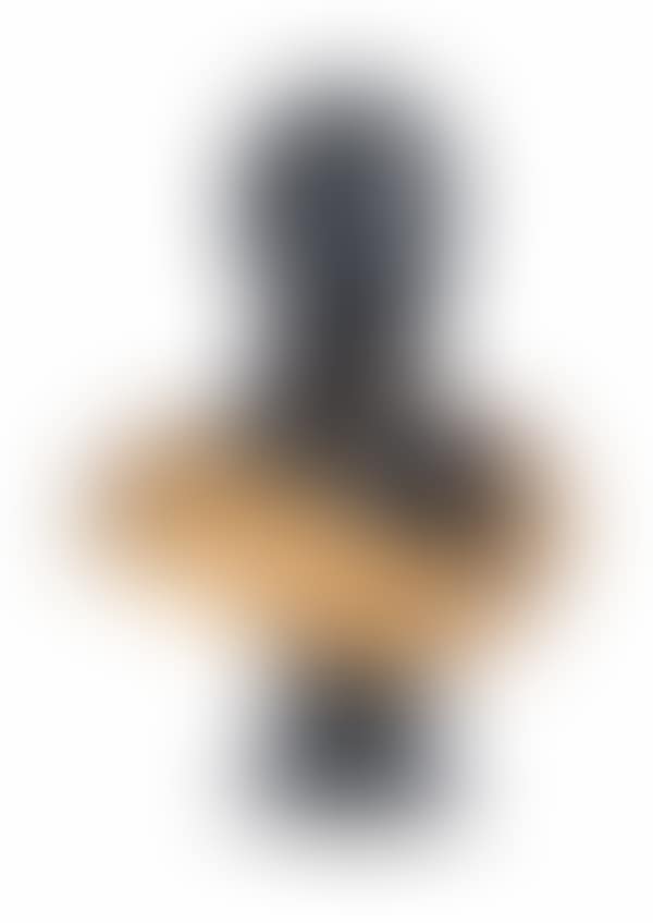 Bust of General Louis-Stanislas-Cécile-Xavier de Girardin (preview)