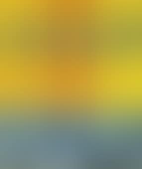 Composition (preview)