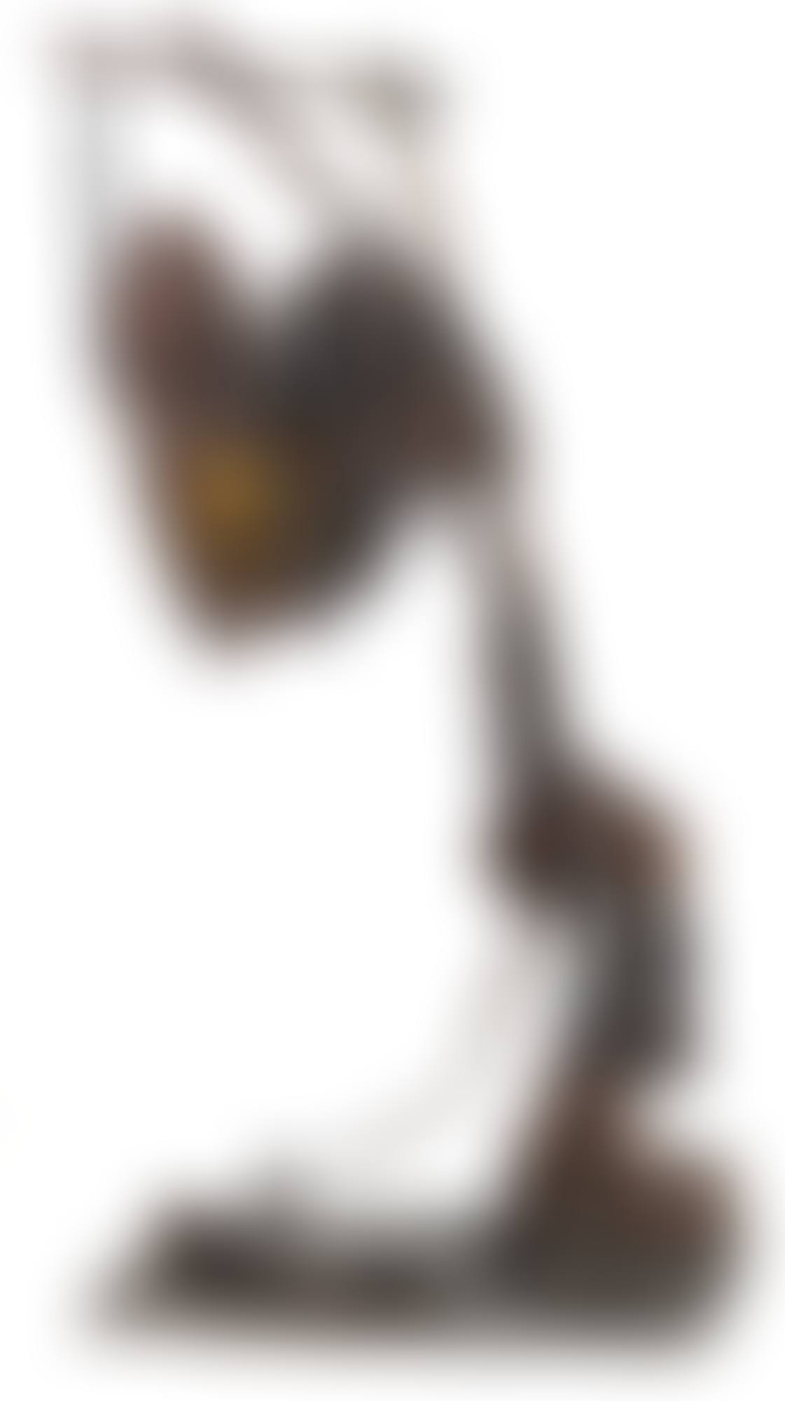 BRONZE DE VIENNE (preview)