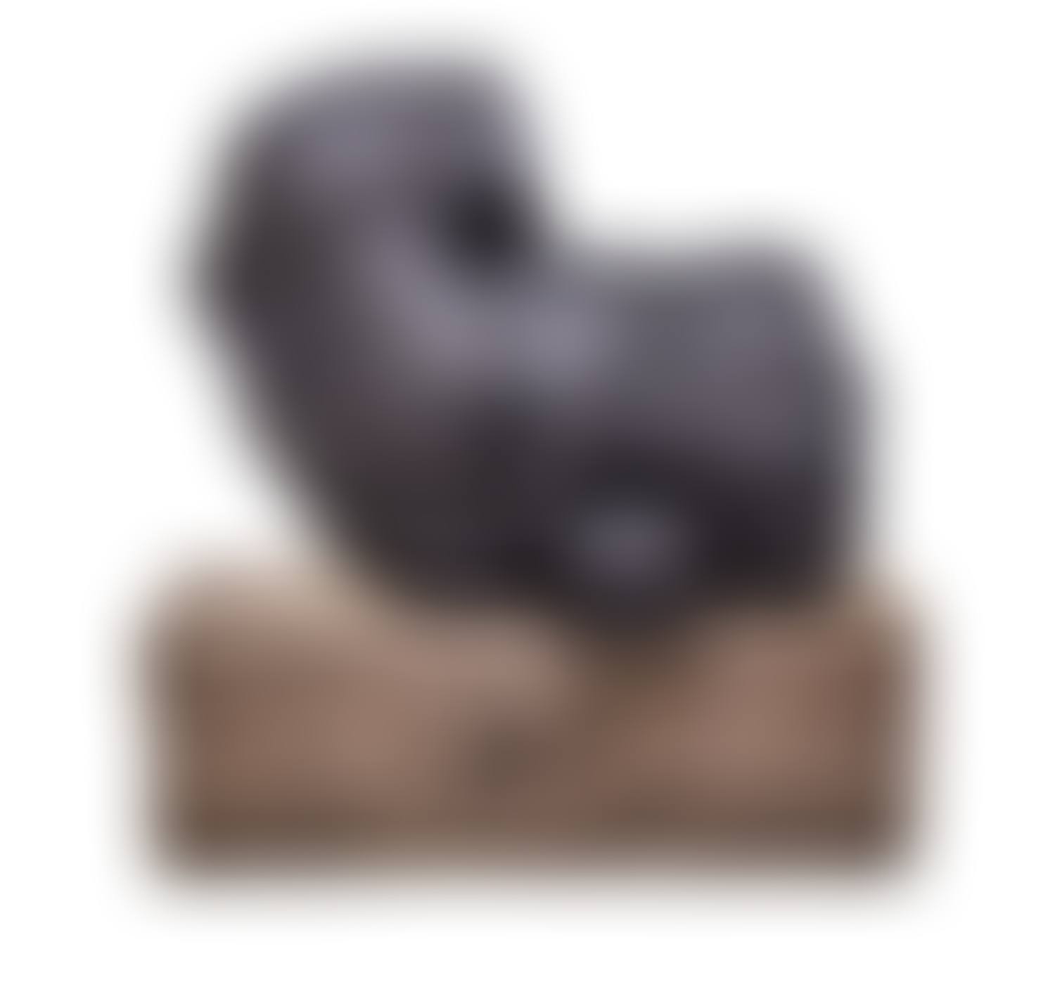 Torso (preview)