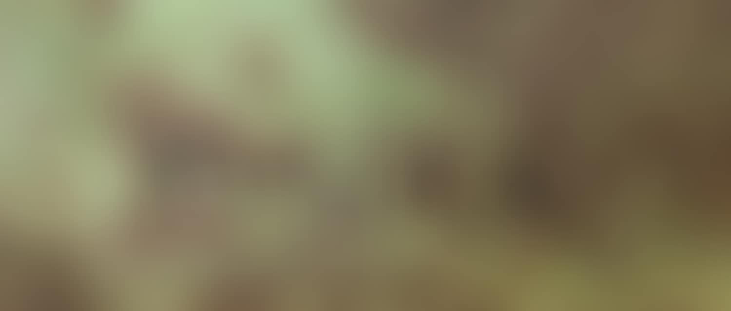 Asklepios (preview)