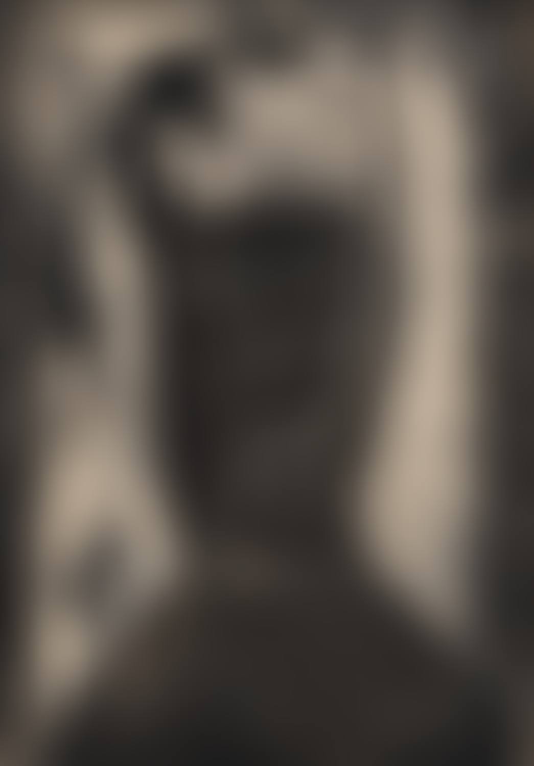The portrait from imagination (preview)