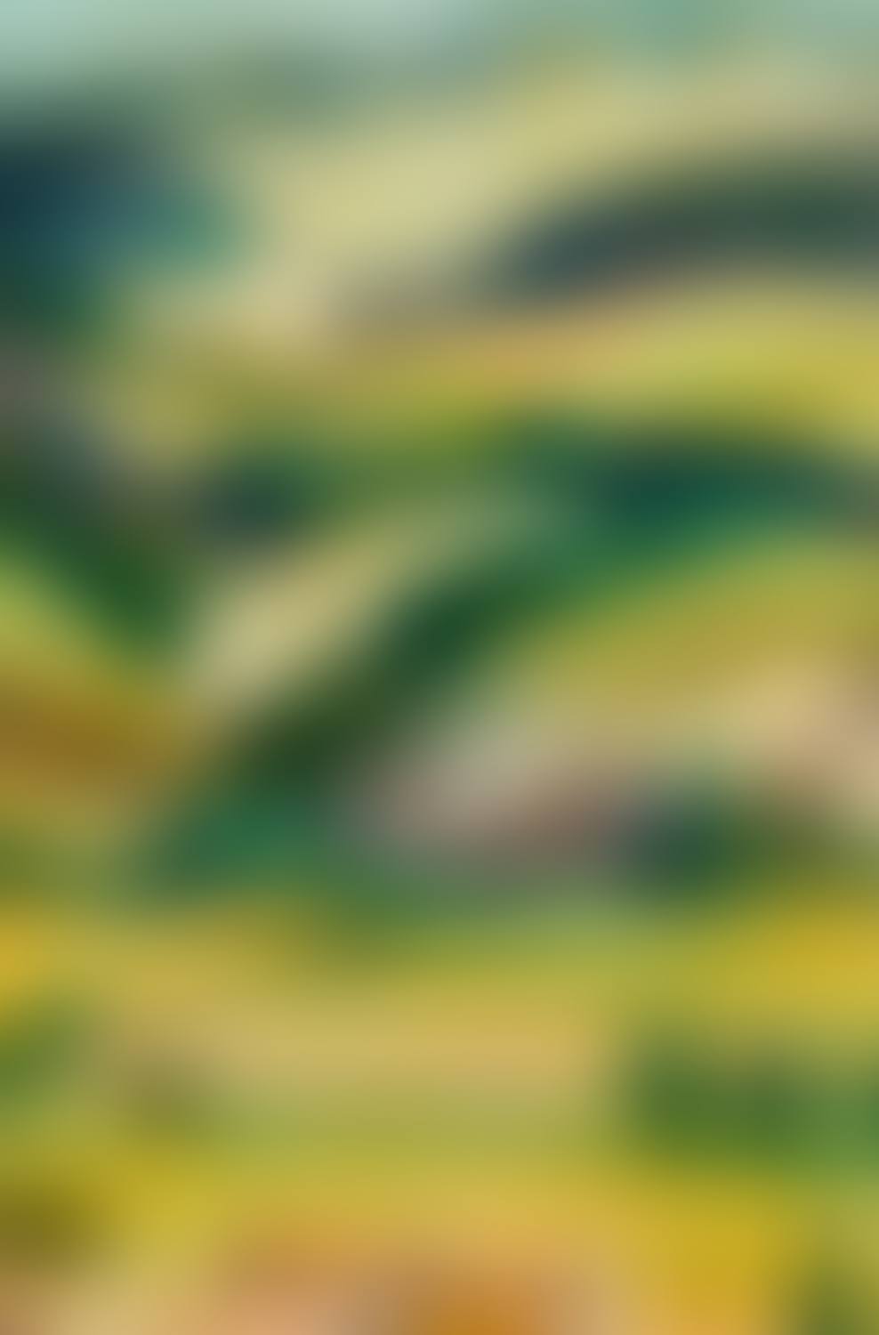 Landscape from Ménerbes (preview)