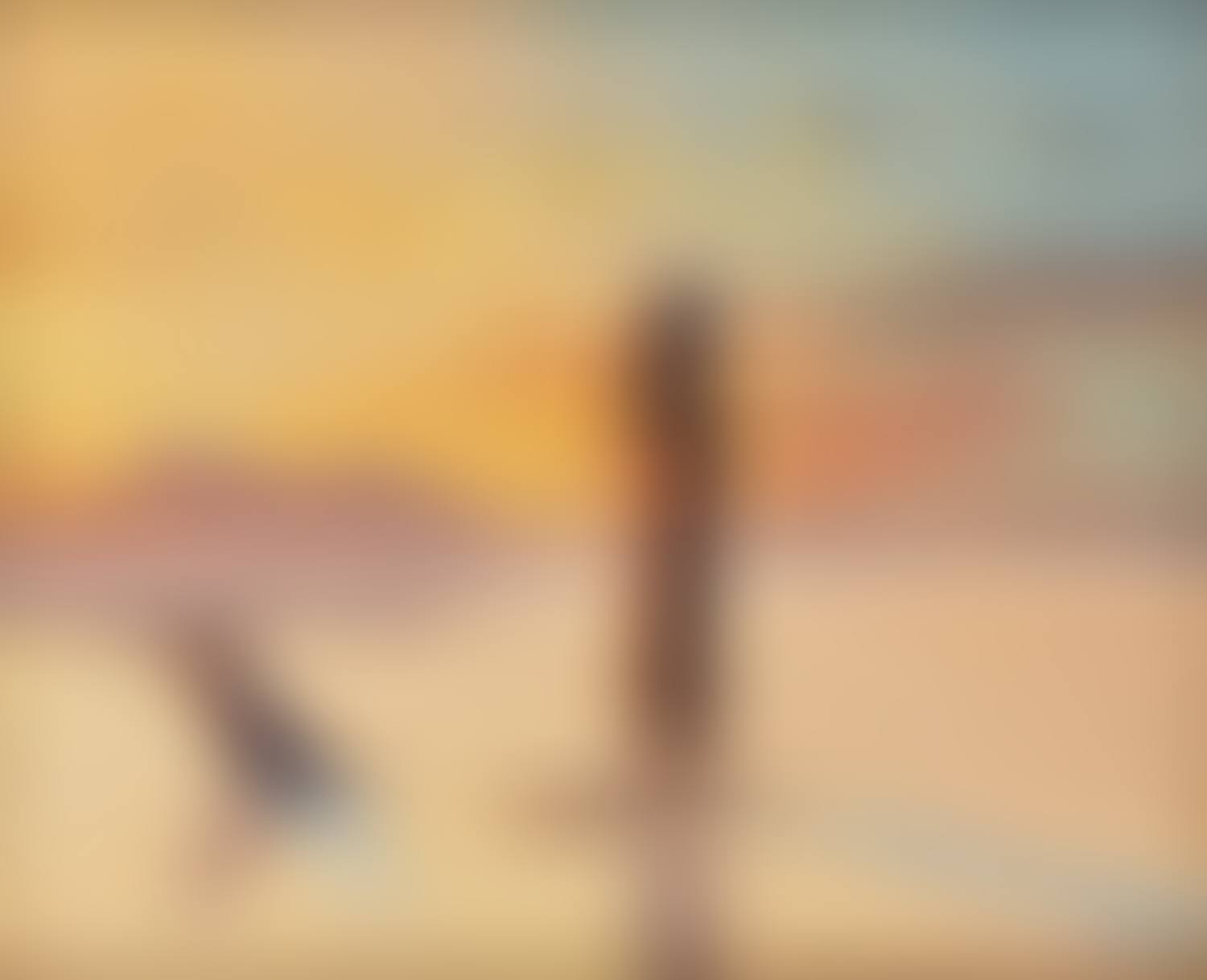 And the crocodile calmly sailed away (preview)