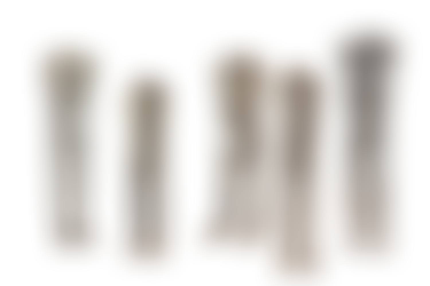 The set of 5 figures; Figure 1: (from left to right) (preview)