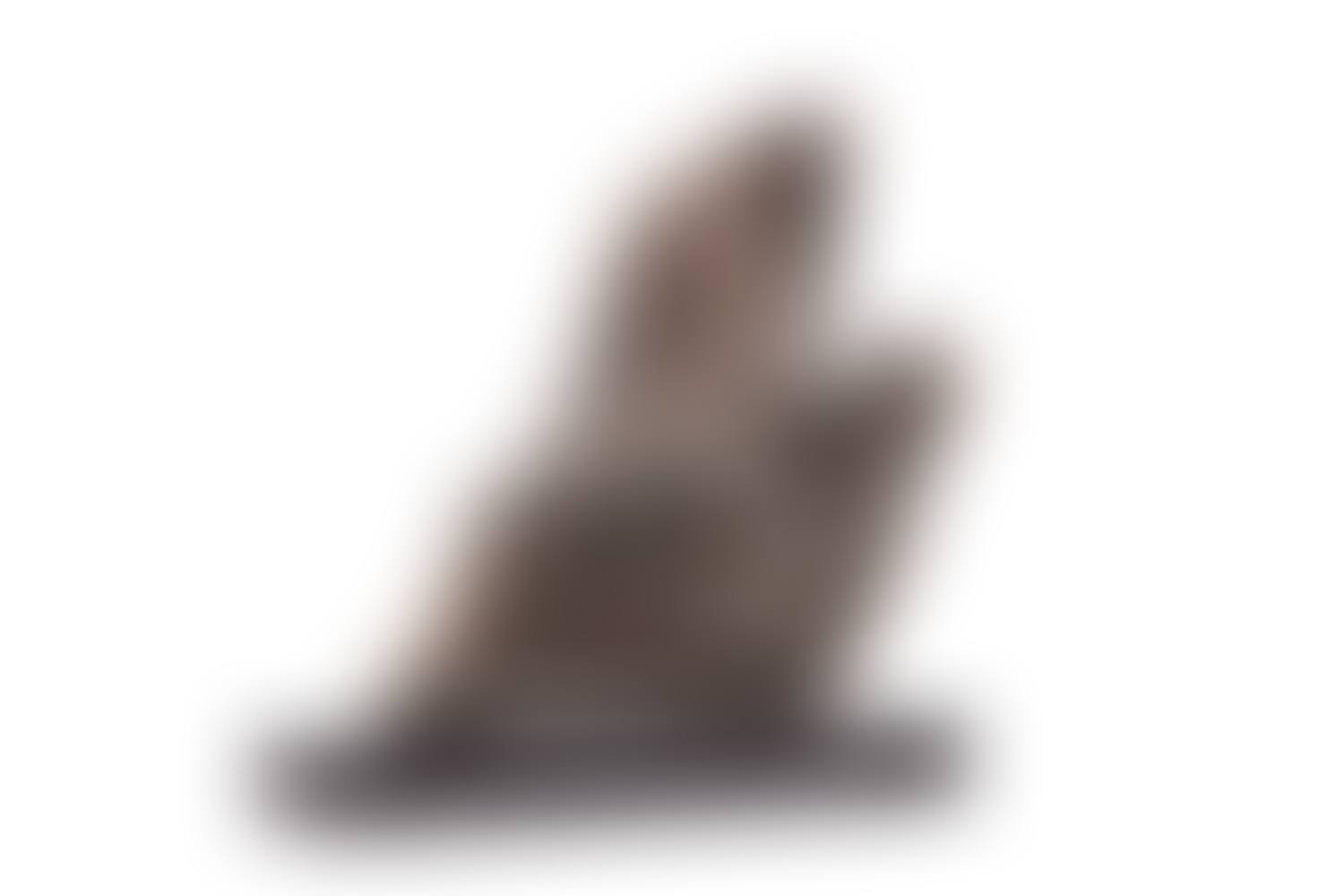Pieta (preview)