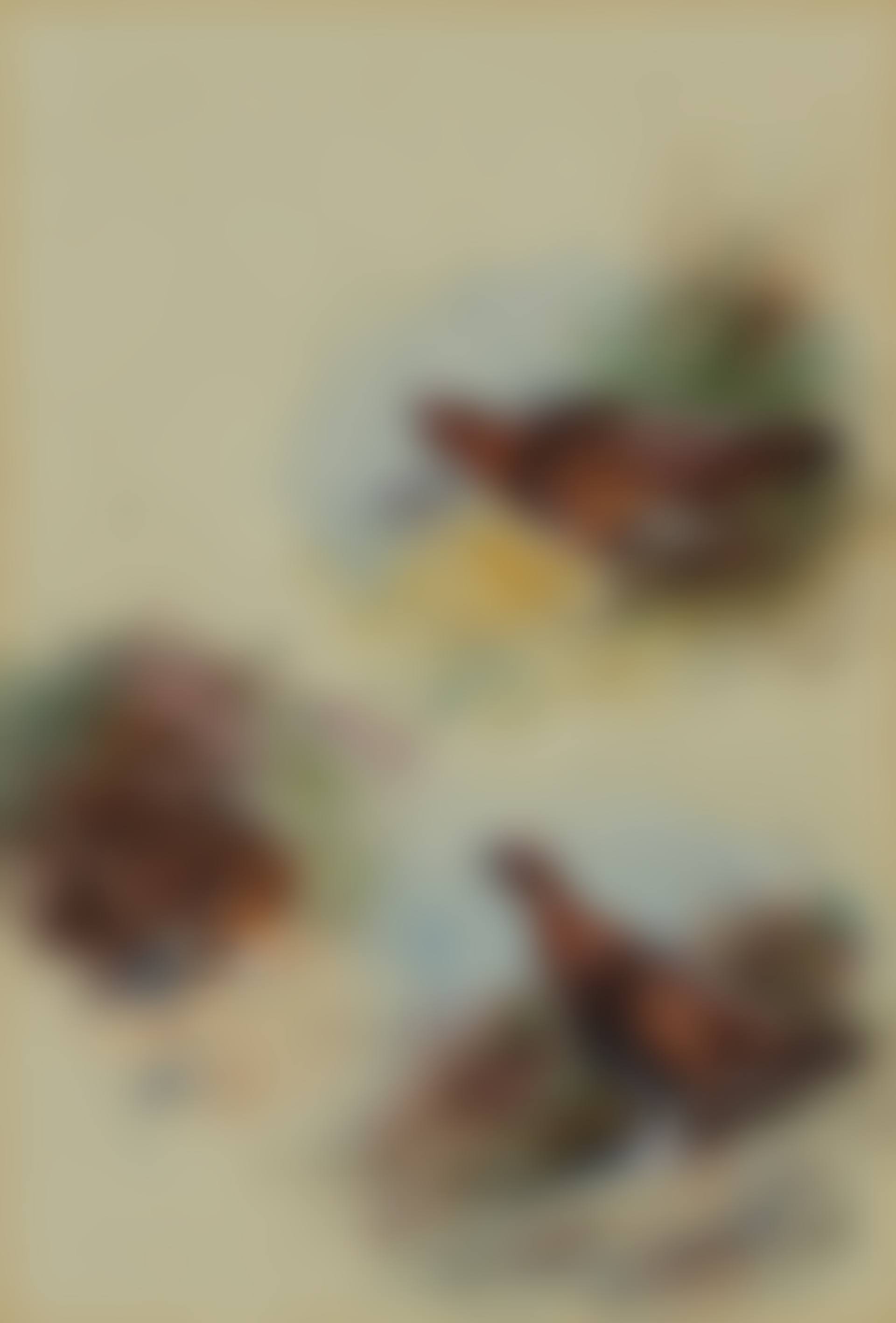 Study of grouse (preview)