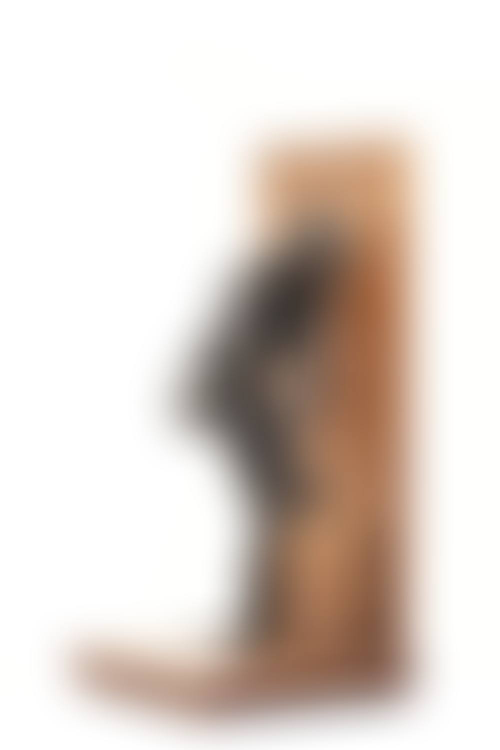 "Dancer putting on her stocking, last study" ("Danseuse mettant son bas, derniere étude") (preview)