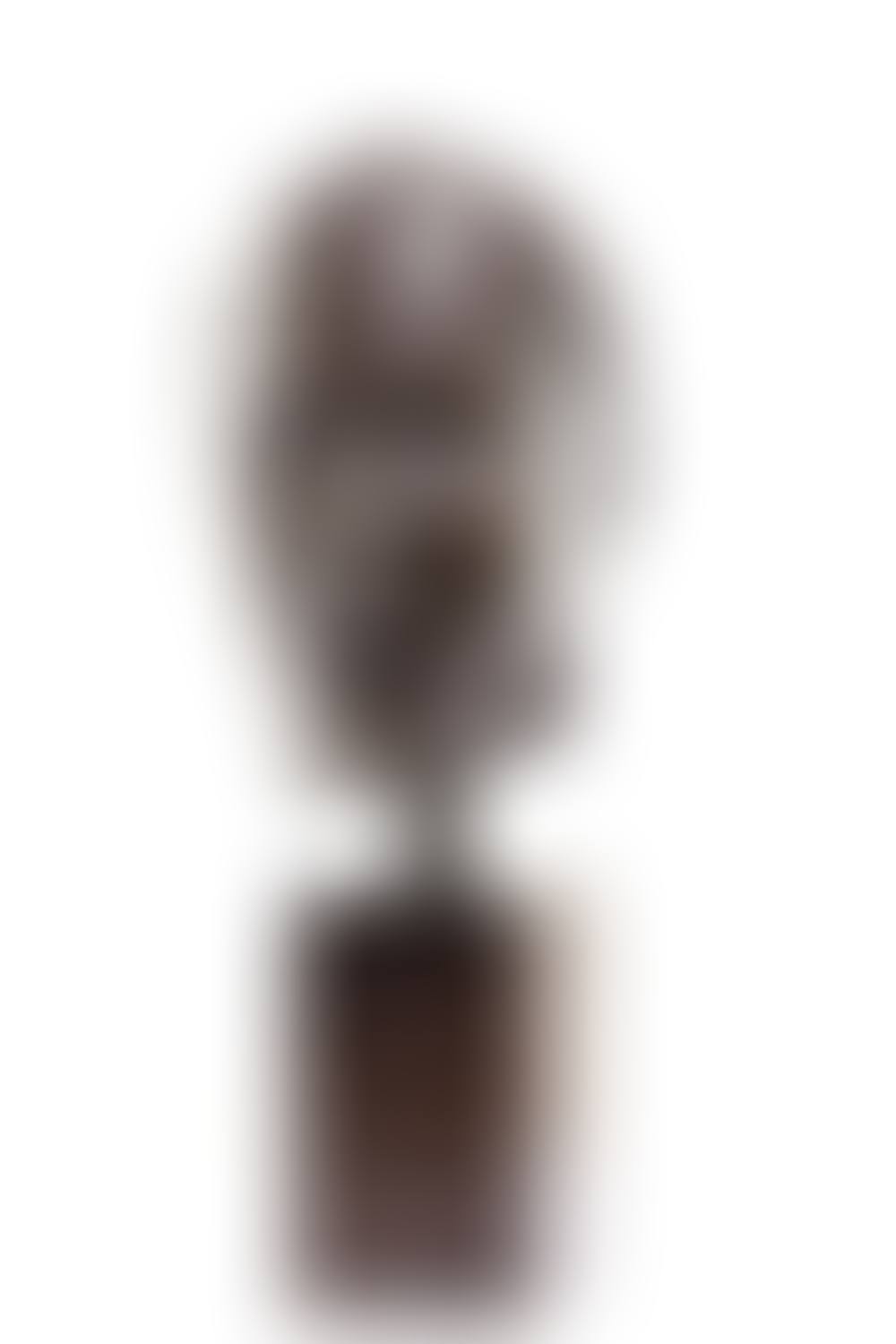 "The head, a large study for a portrait of Madame S." ("Tete, grande étude pour le portrait de Madame S.") (preview)