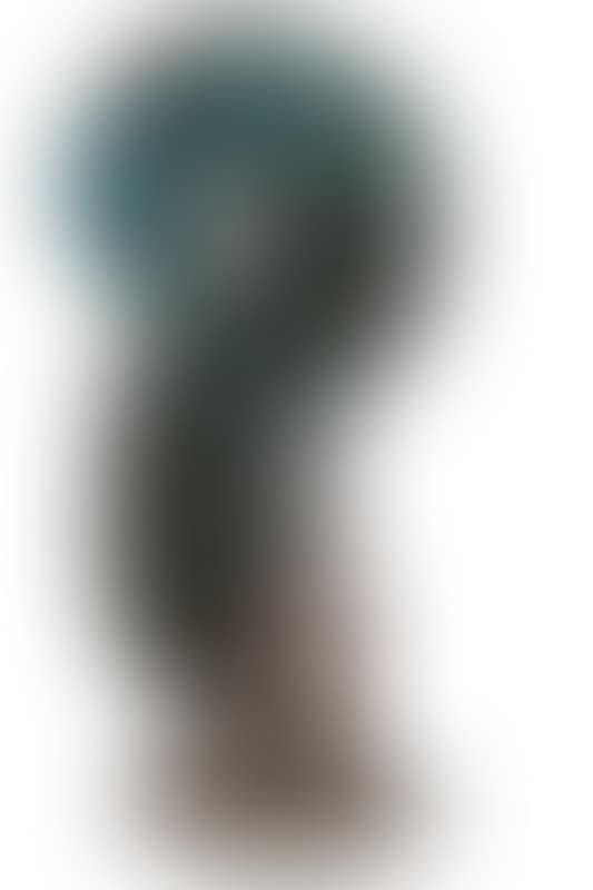 SQUIRREL (preview)