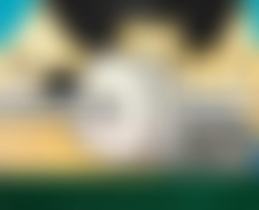 "The Old Mill" (preview)