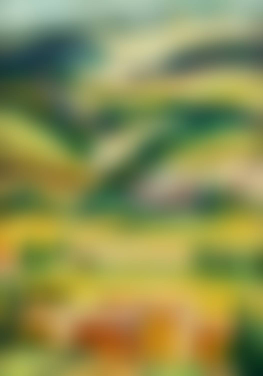 Landscape from Ménerbes (preview)