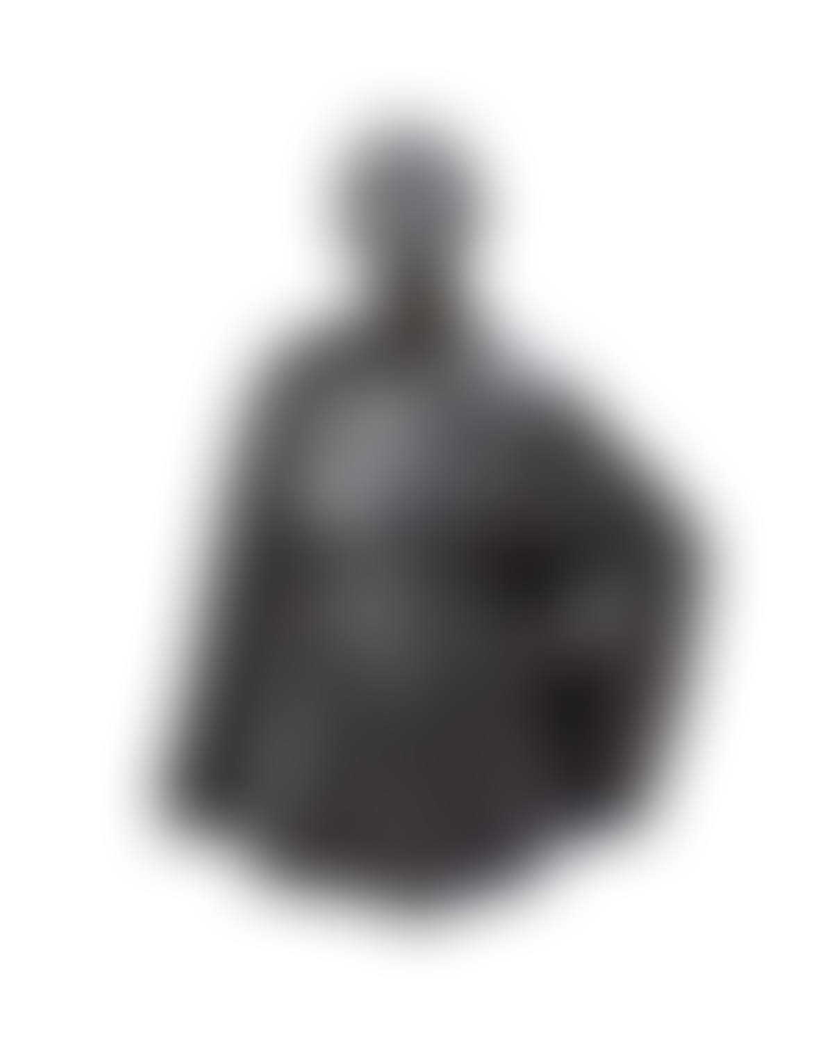 Torso of a woman (preview)