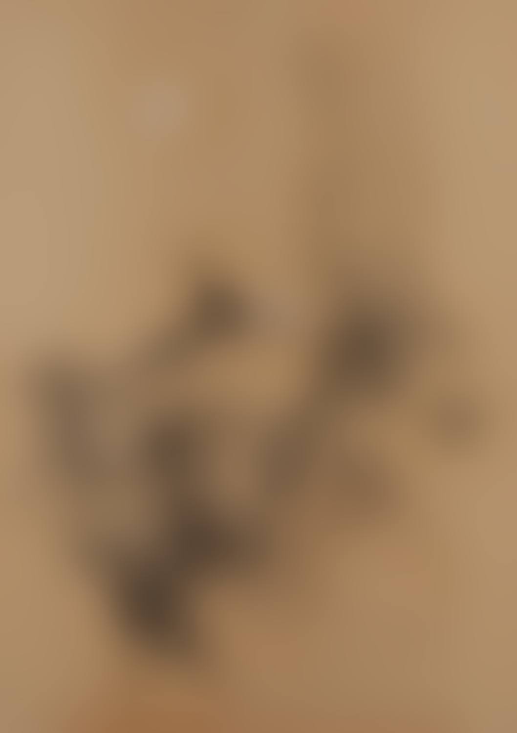 Composition (preview)