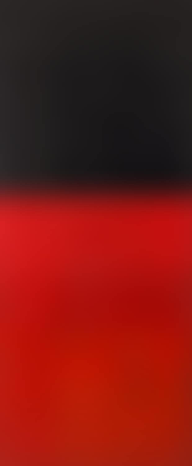 "W. Strzeminski - undressing of black square and red rectangle" (preview)
