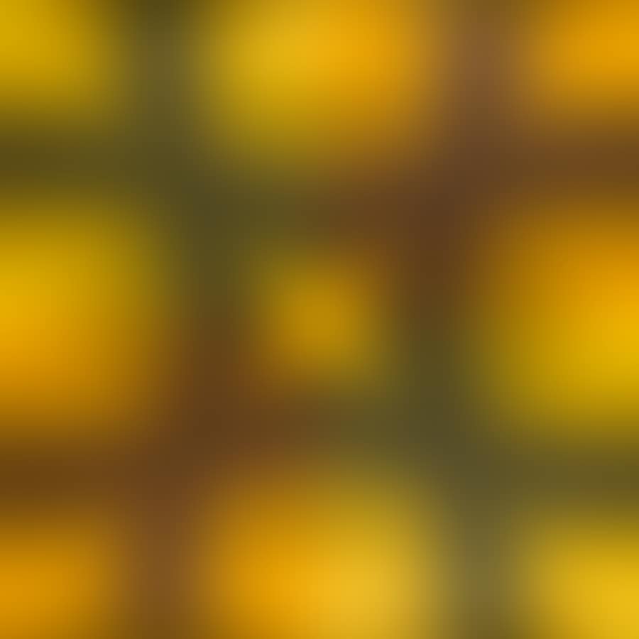 "Onnca" (preview)