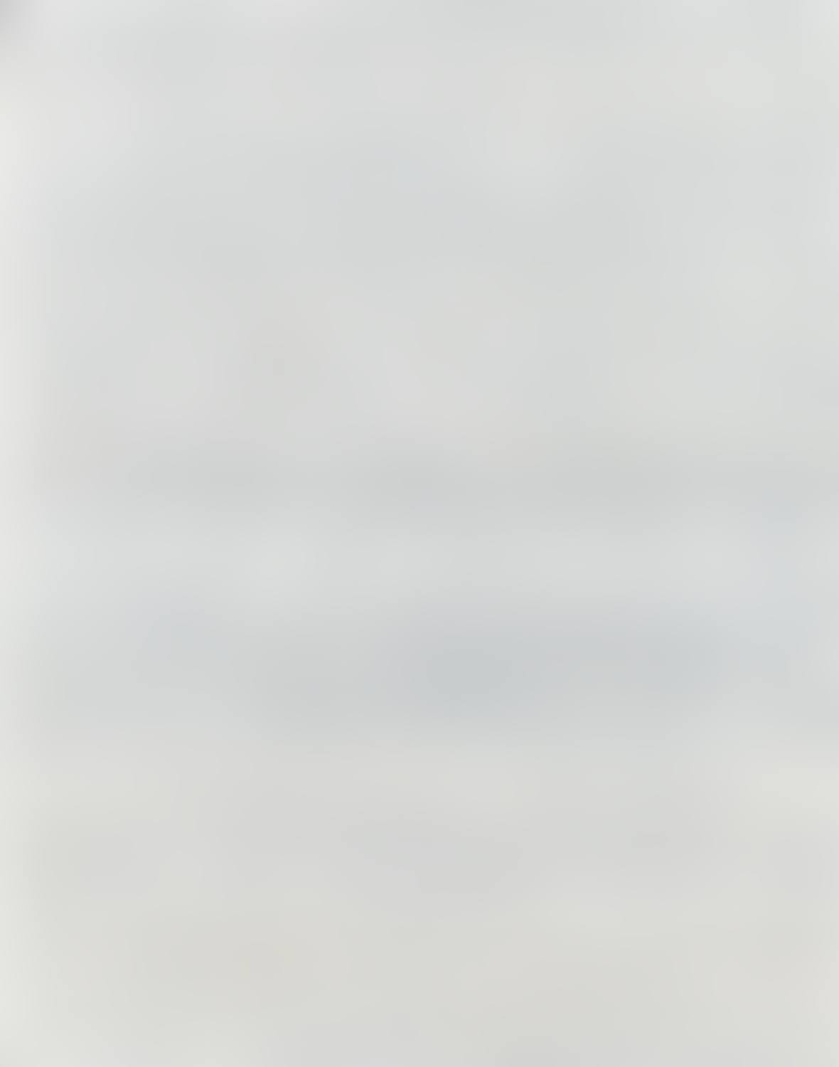 "Diary 29.XII - 01.II" (preview)
