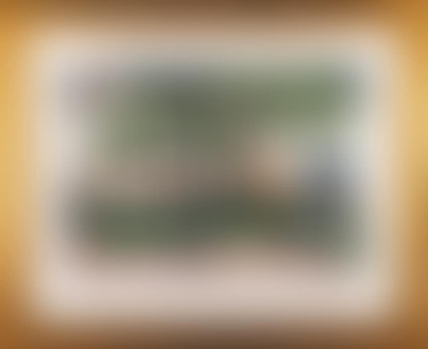 "Jardin de St. Medard" (preview)