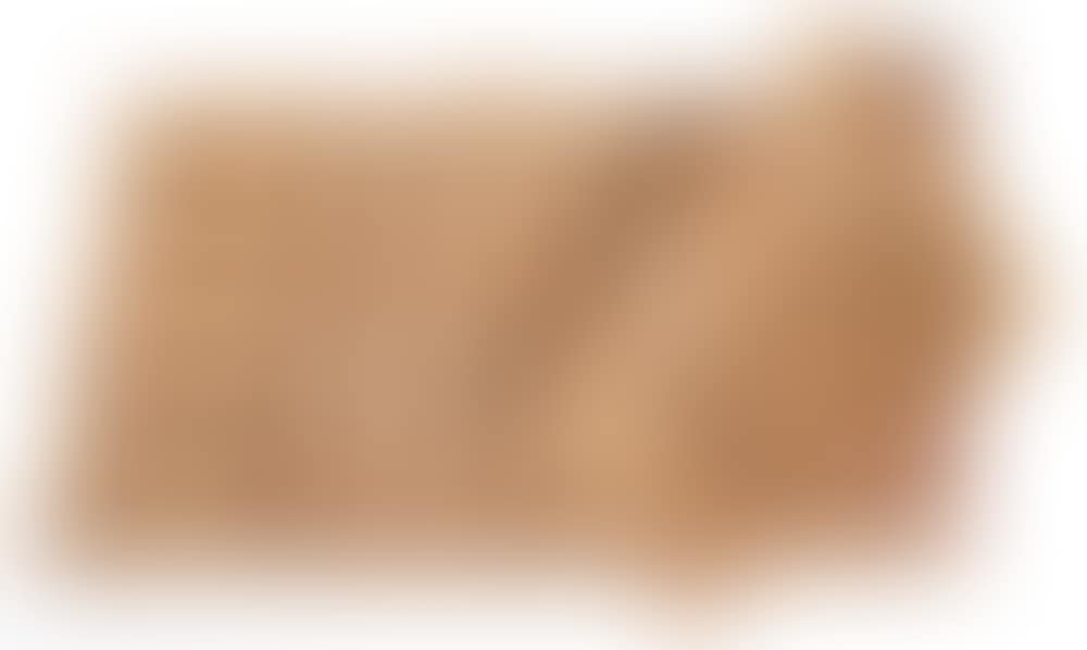 fabric (preview)