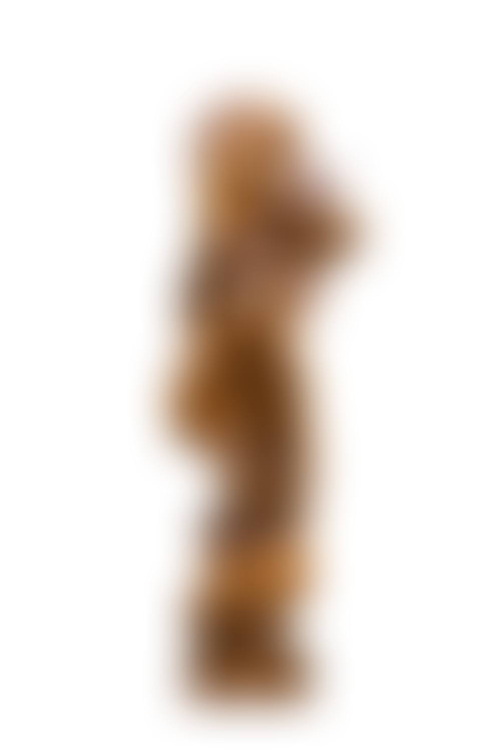 Christ ascending into heaven  (preview)