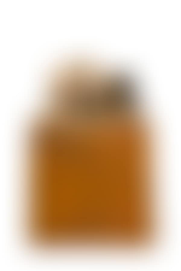 Torso (preview)